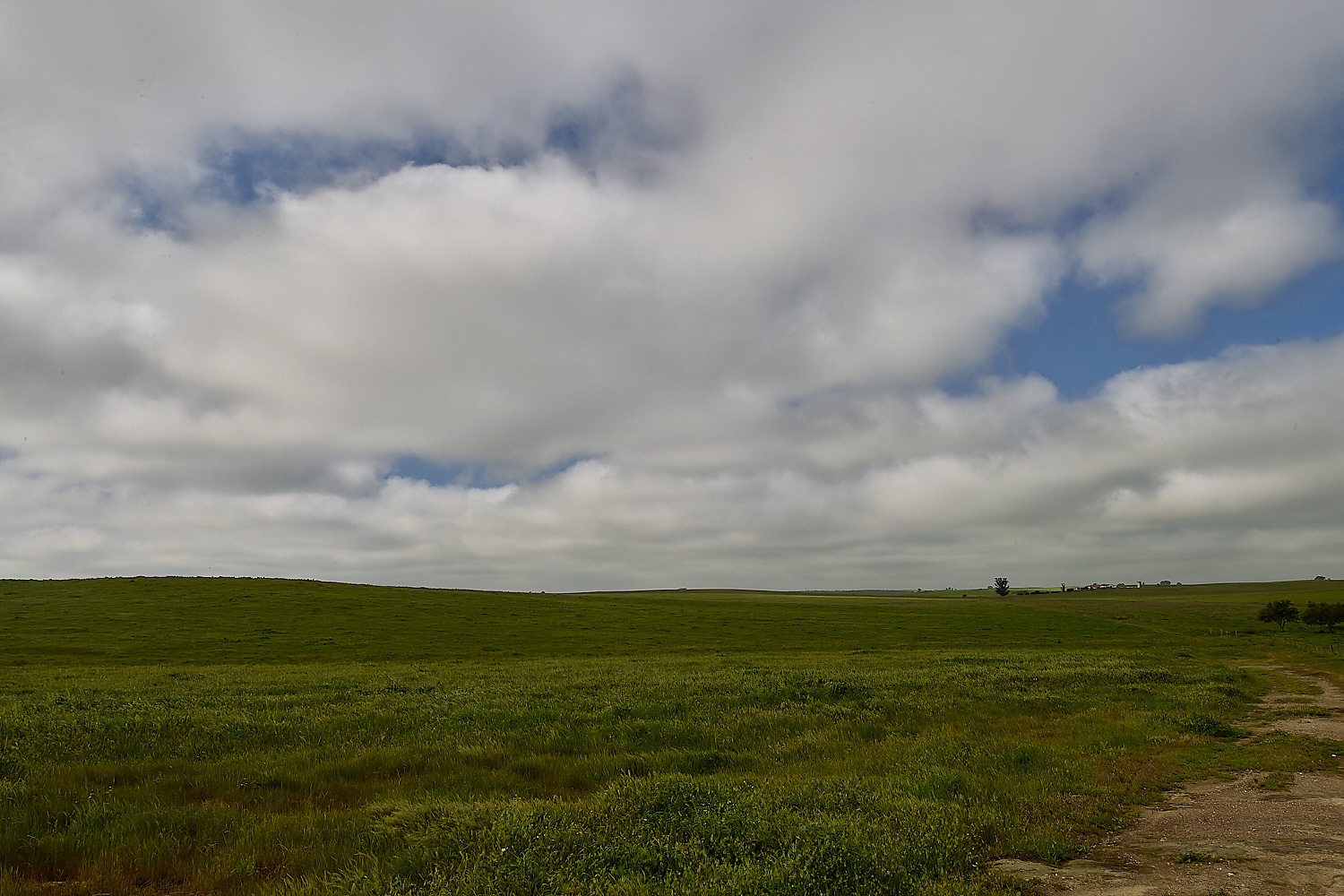 CVerdeBioReserve250325-1