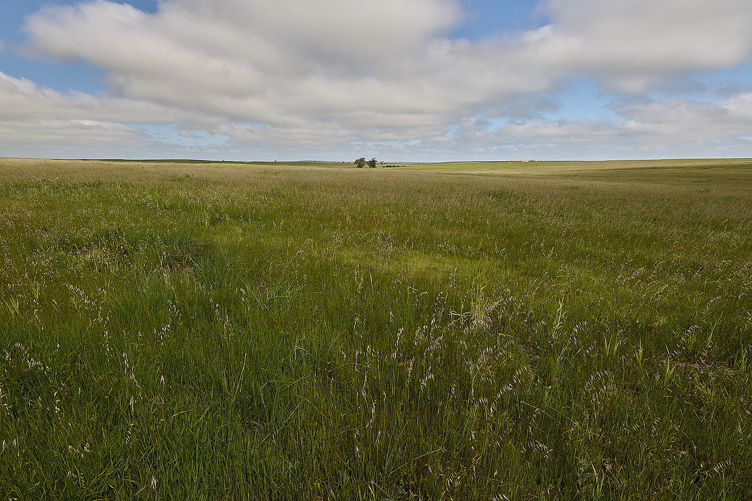CVerdeBioReserve250325-10