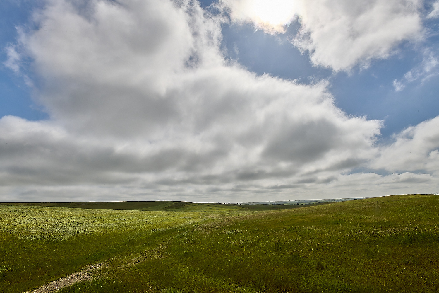 CVerdeBioReserve250325-6