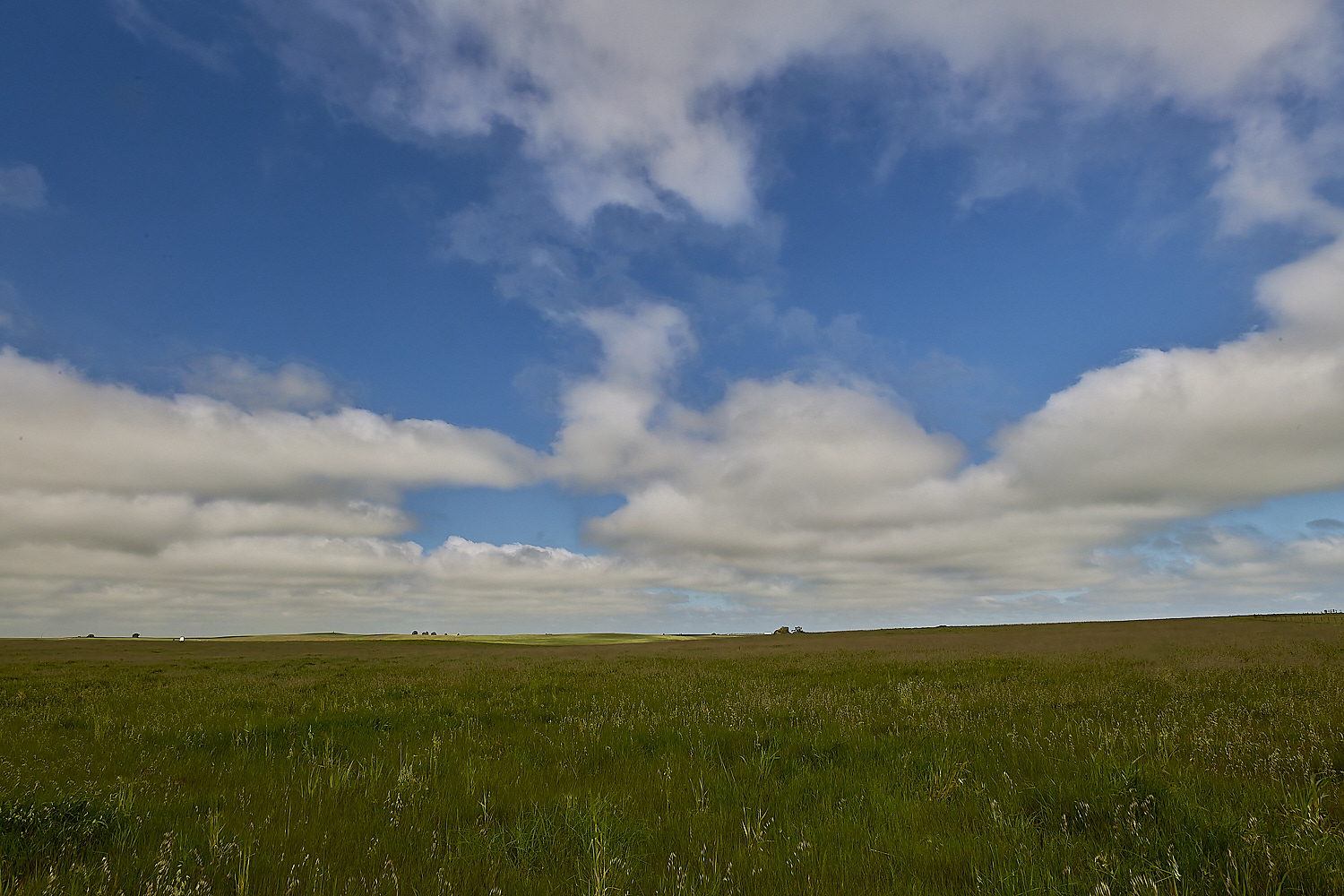 CVerdeBioReserve250325-8