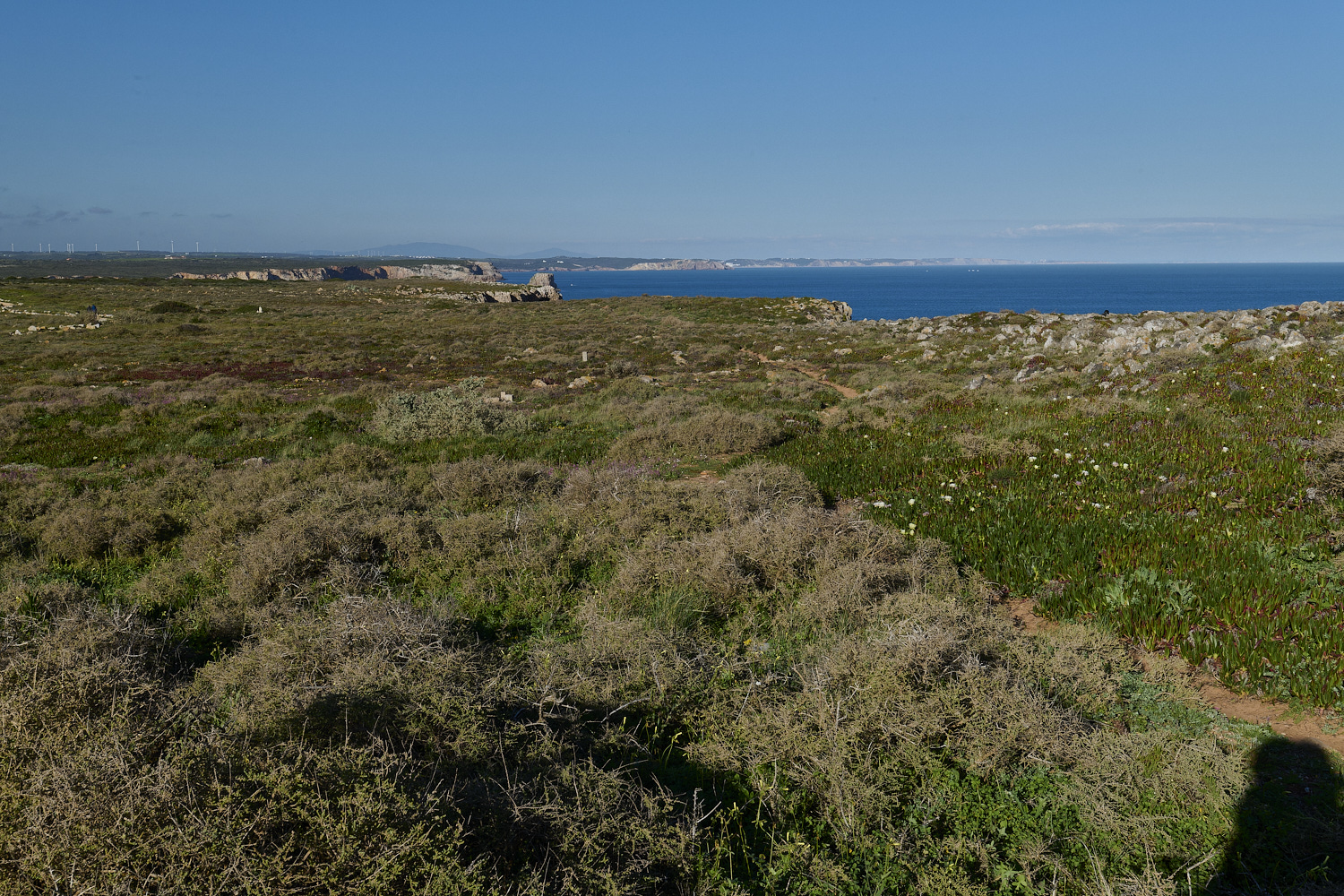Sagres260325-1-NEF-