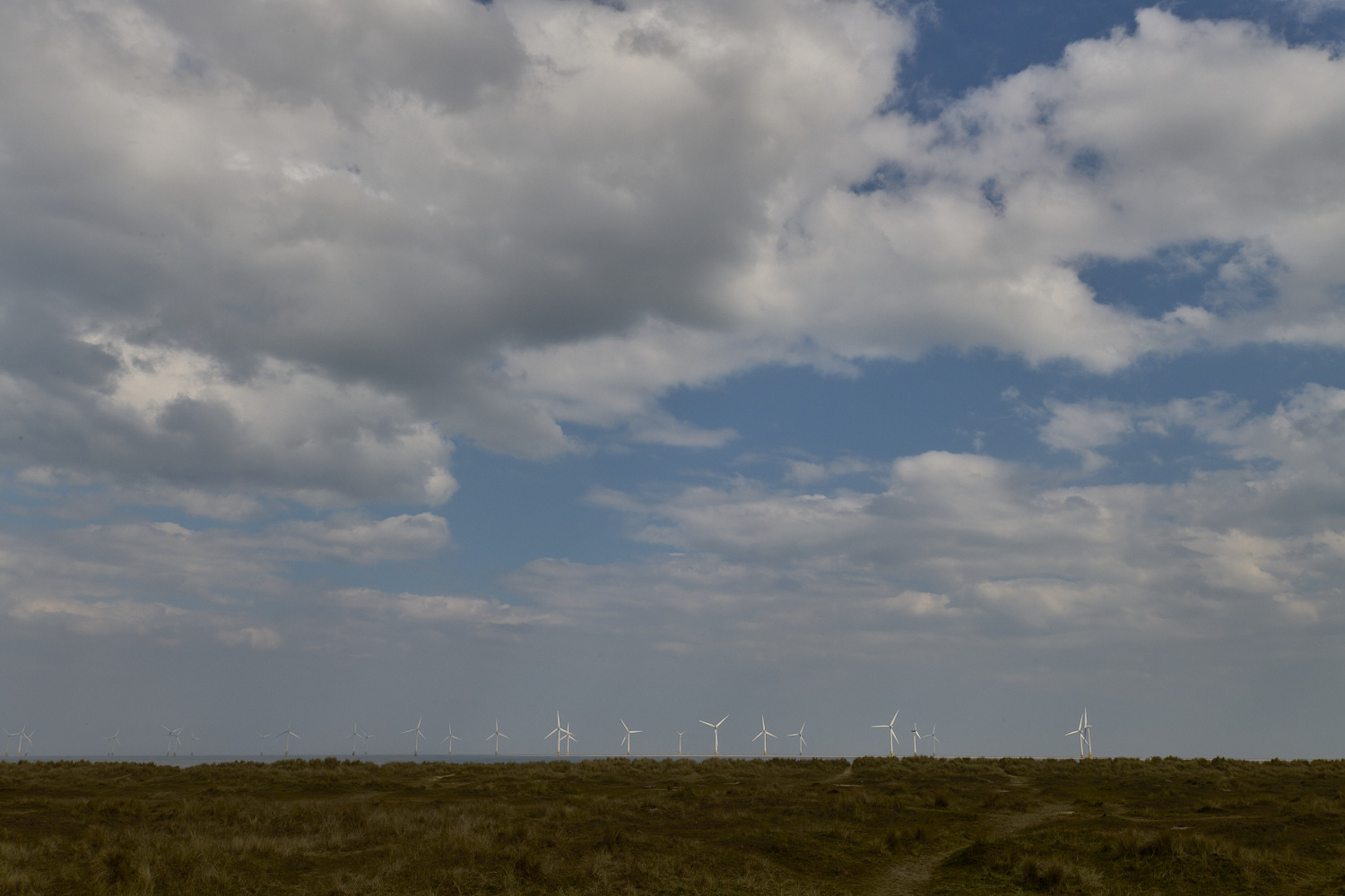 NorthDenes130425-1