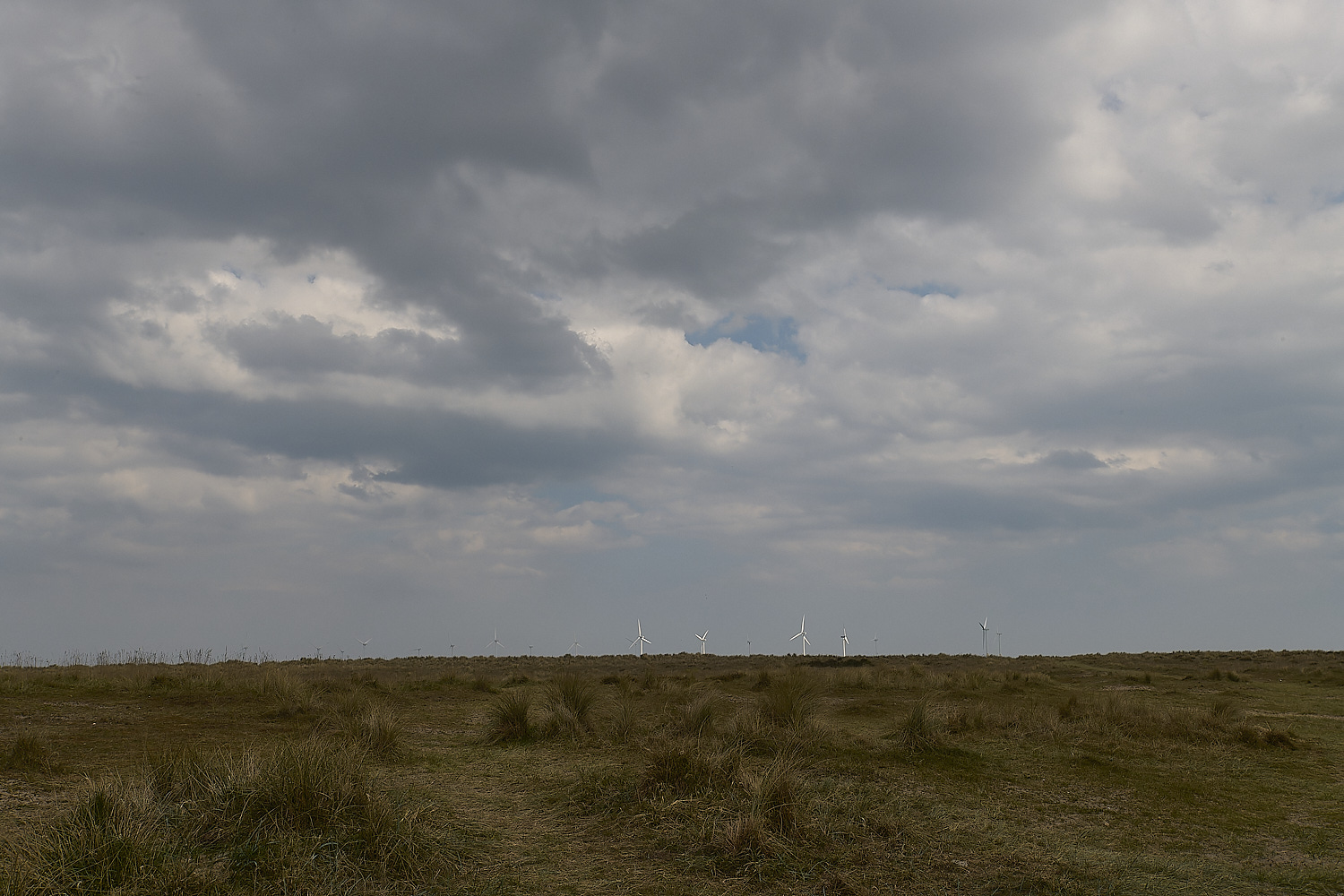 NorthDenes130425-2