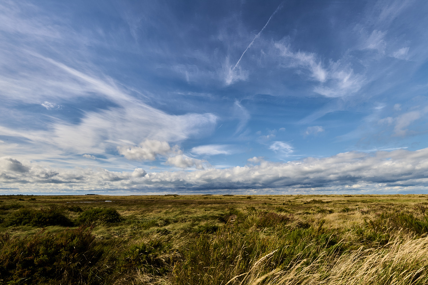 Titchwell180925-1