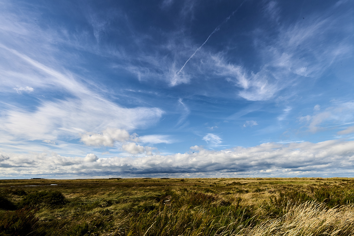 Titchwell180925-2