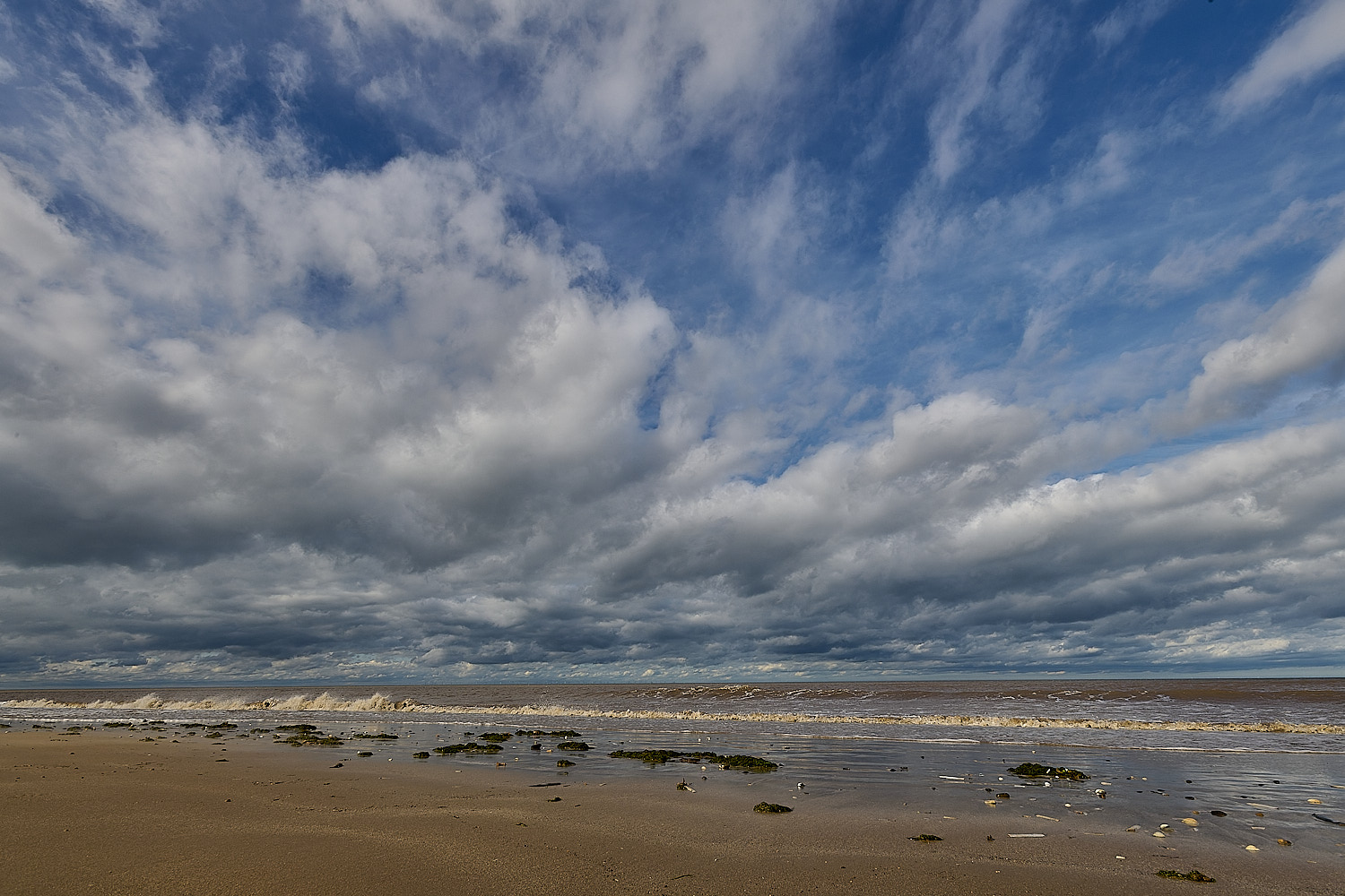 Titchwell180925-8 1