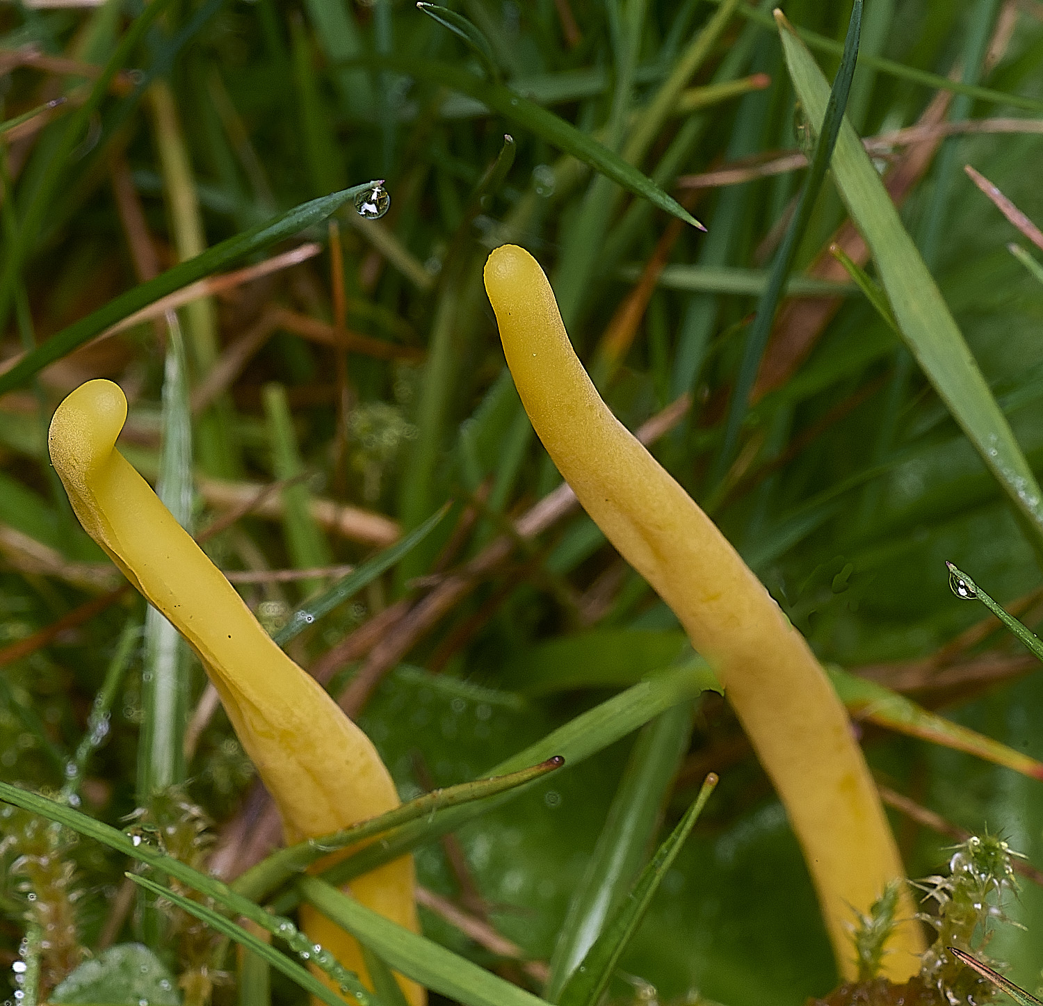 AbelHeathSpindle121125-2