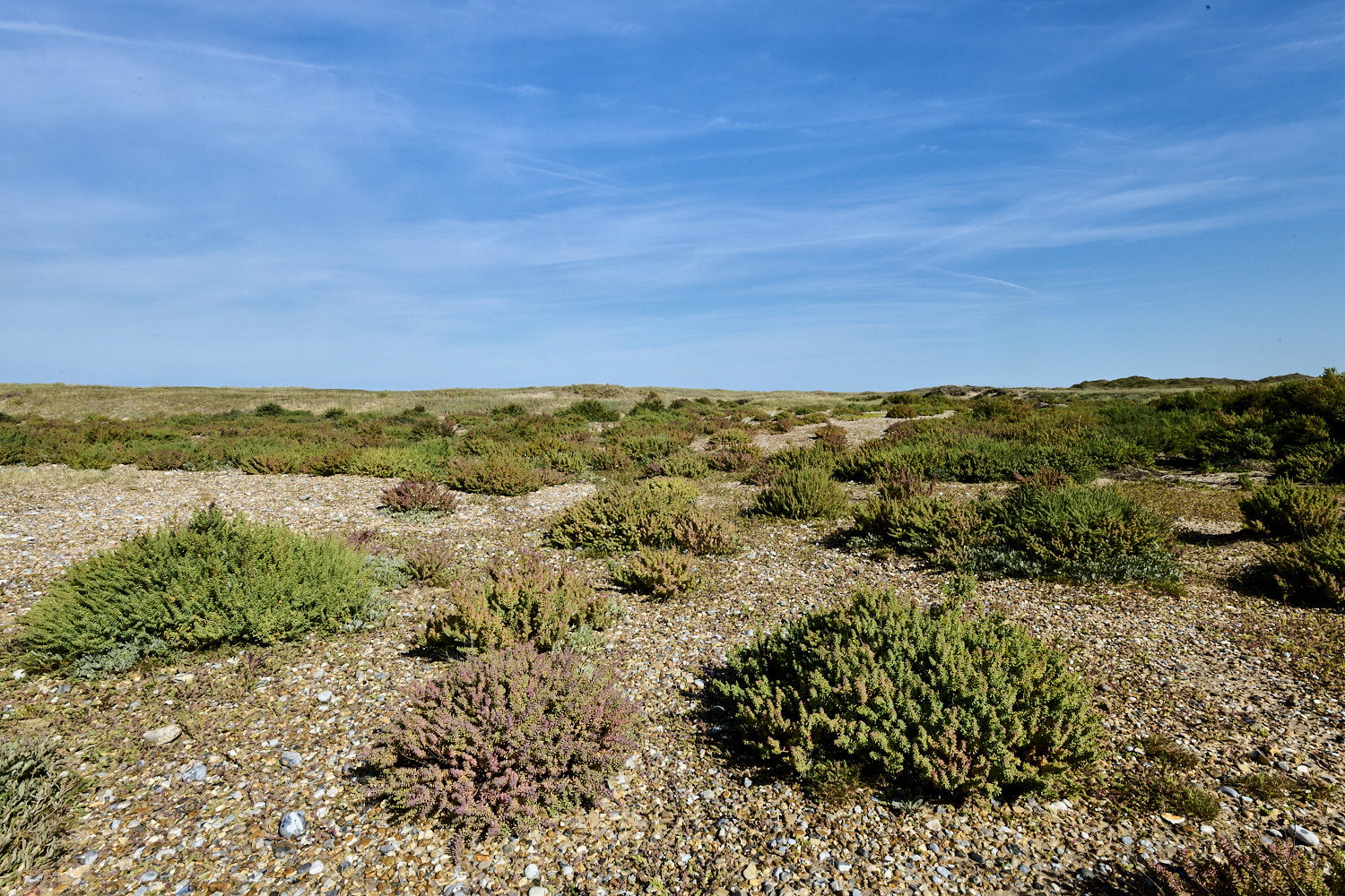 BlakeneyPoint190925-11