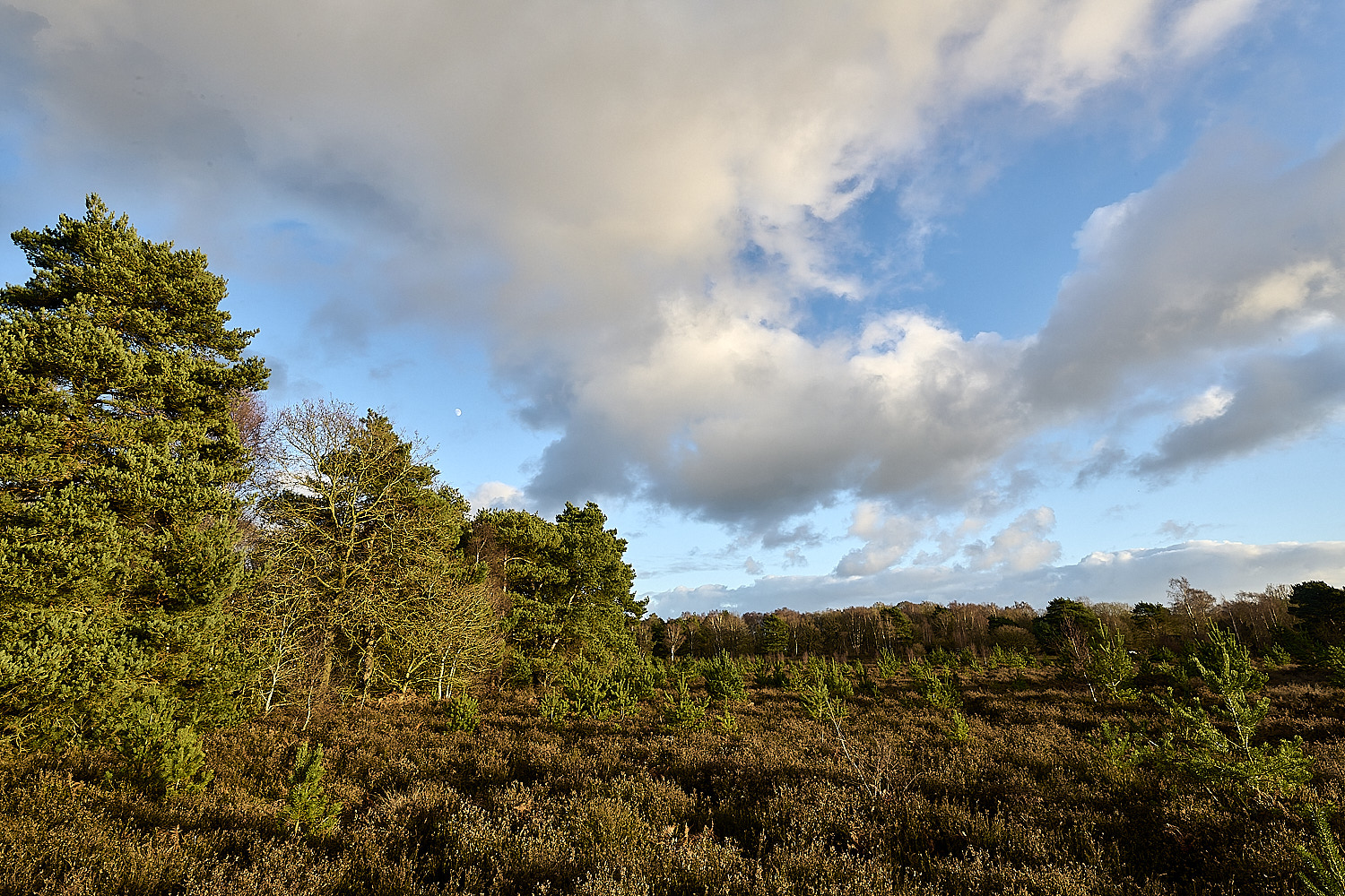 CawstonHeath301225-1