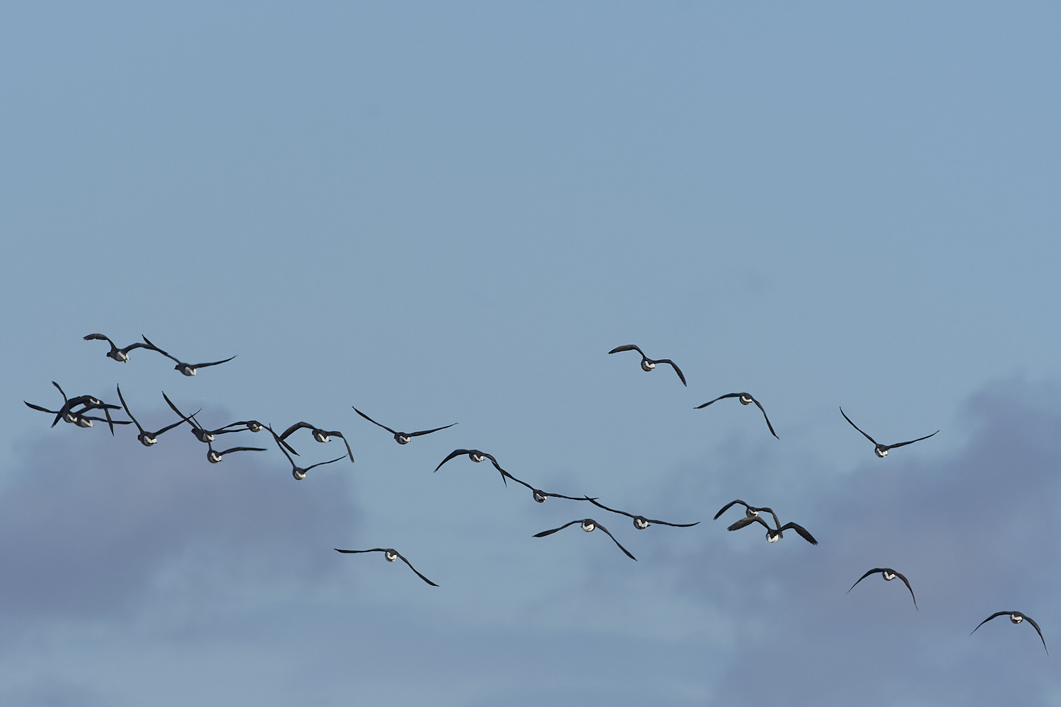 CleyBrent130325-9
