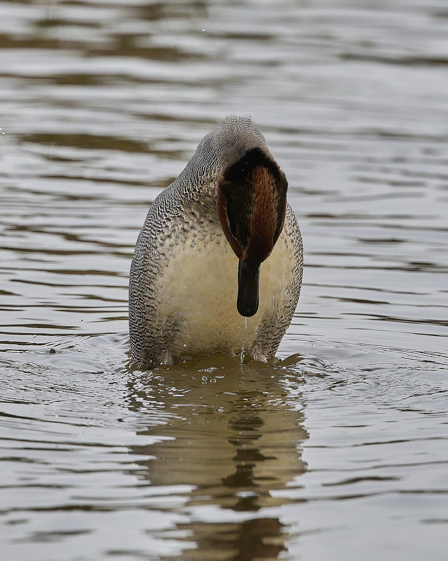 CleyTeal050225-18