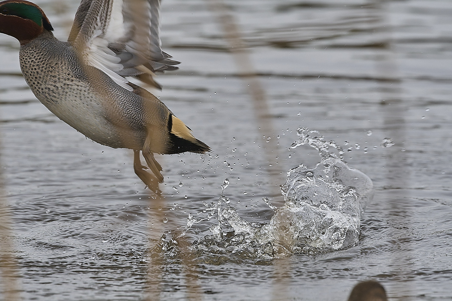 CleyTeal050225-19