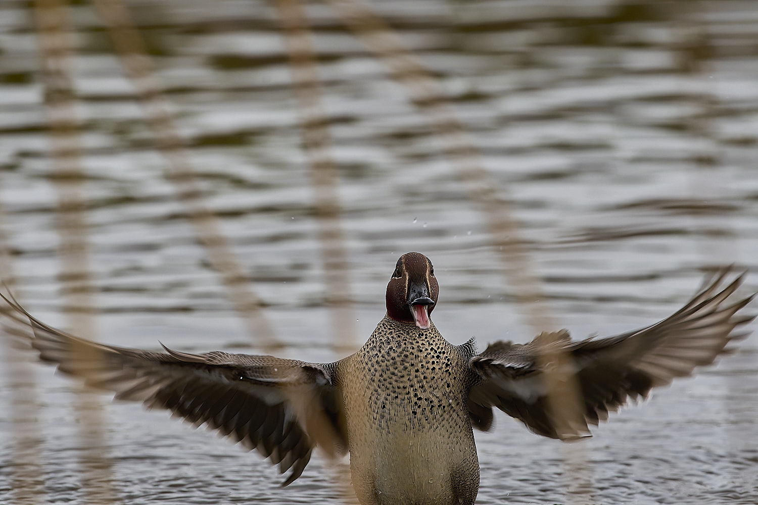 CleyTeal050225-22