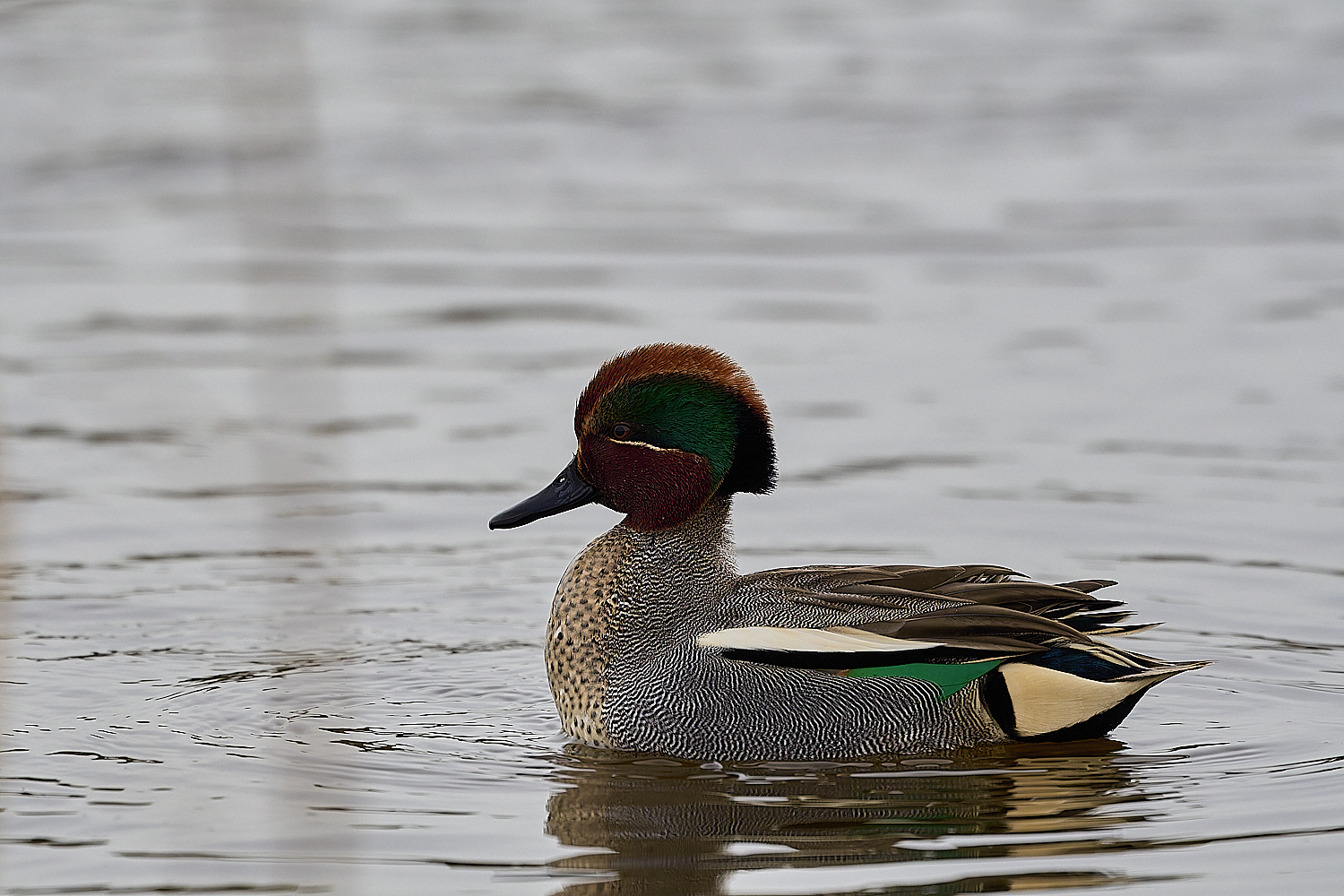 CleyTeal050225-24