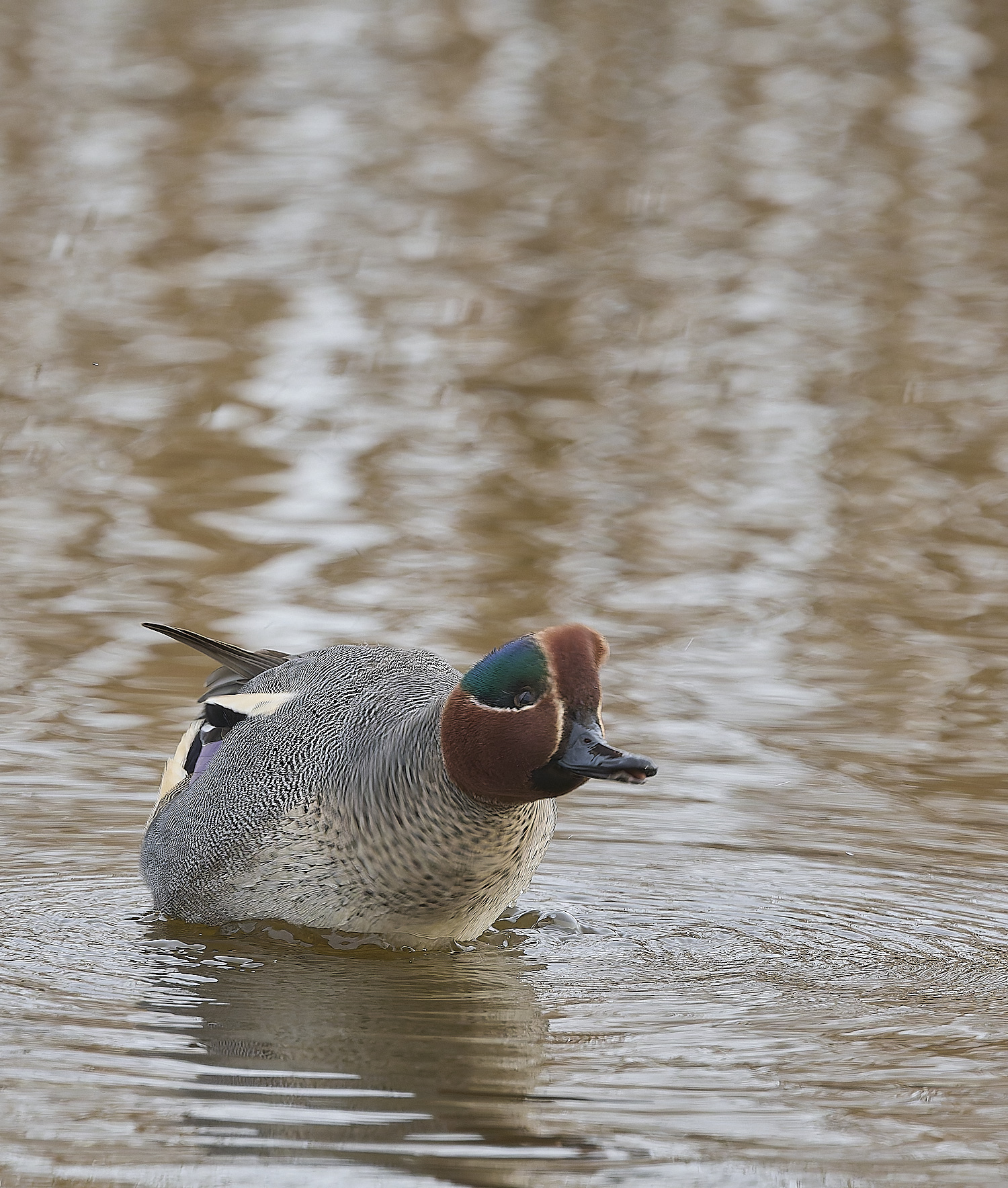 CleyTeal050225-32