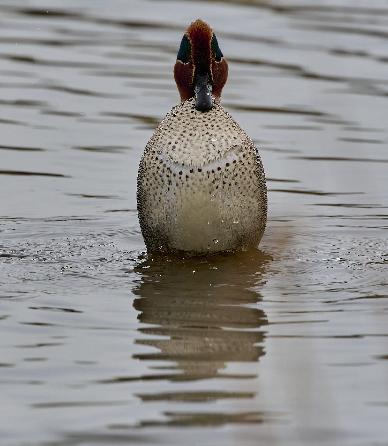 CleyTeal050225-4