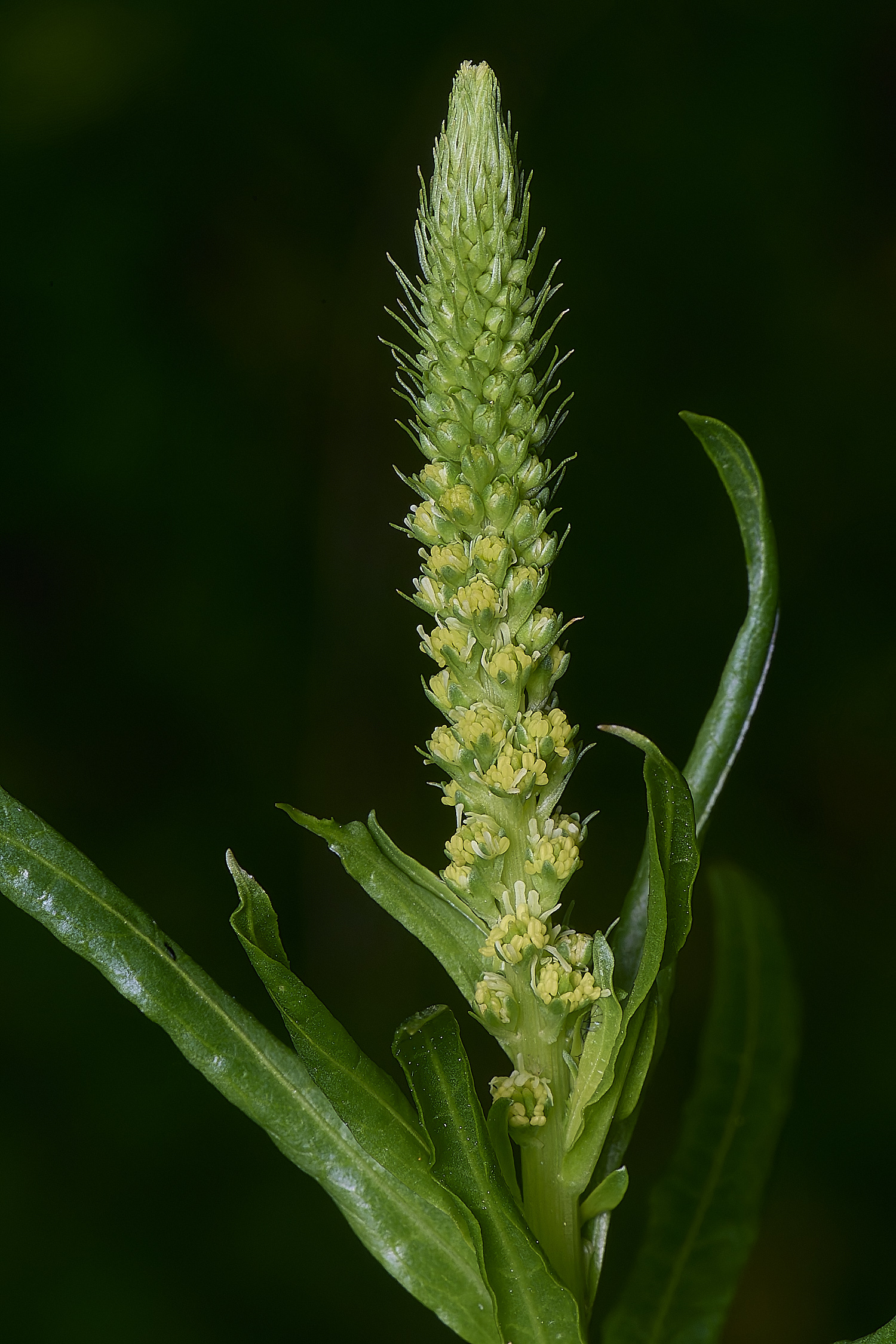 CranwichCampWeld080625-1