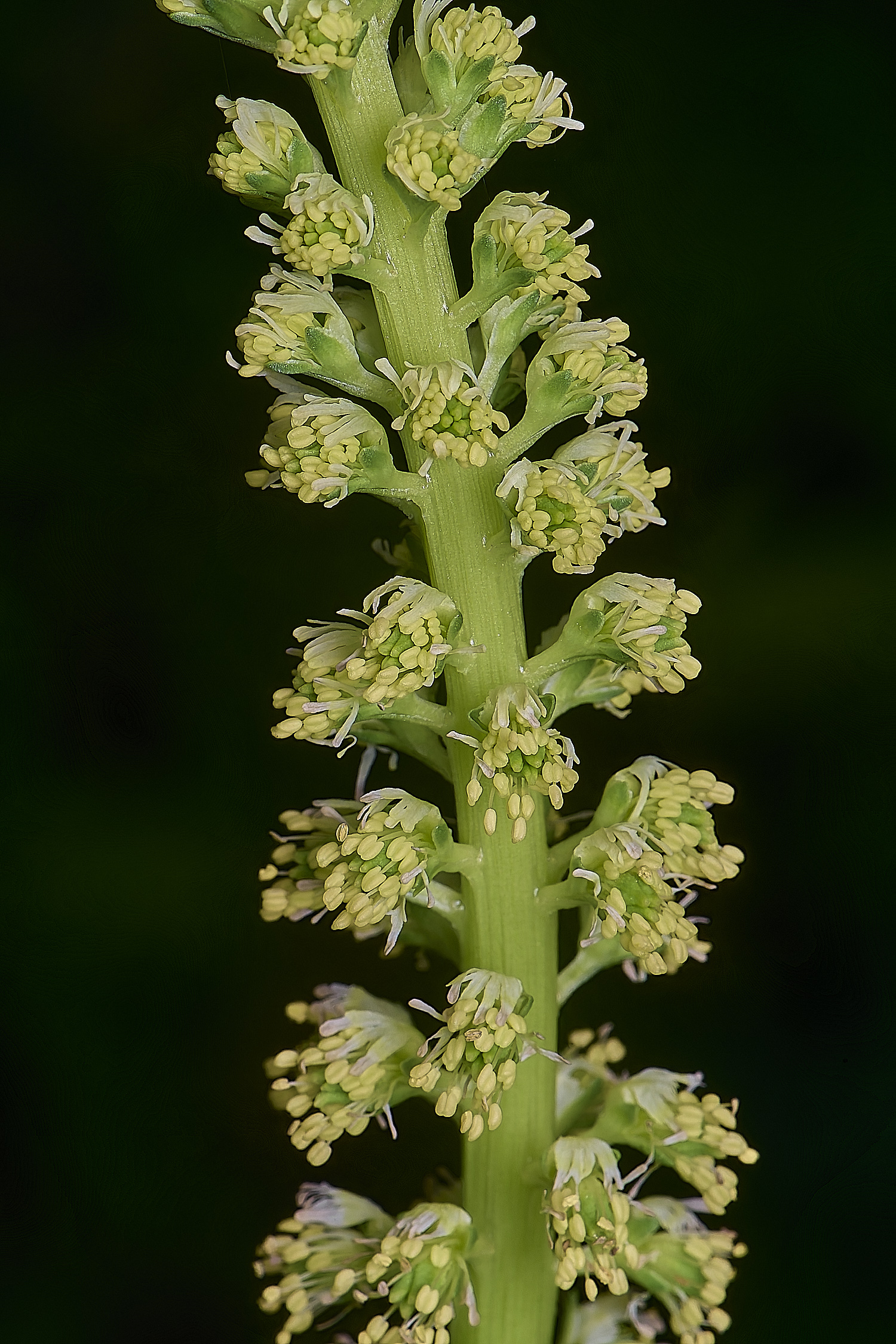 CranwichCampWeld080625-2