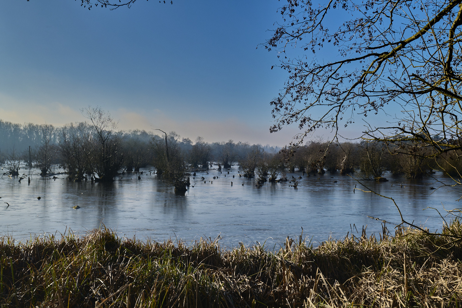 Dillington110125-4