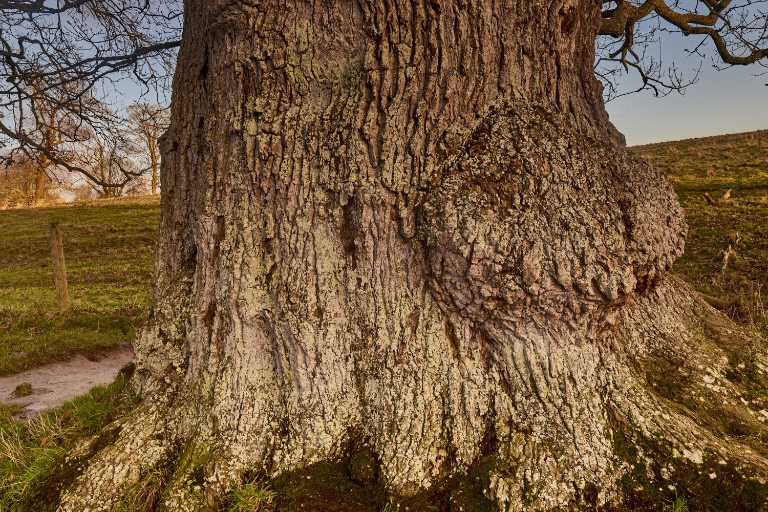 Felbrigg020125-11 1