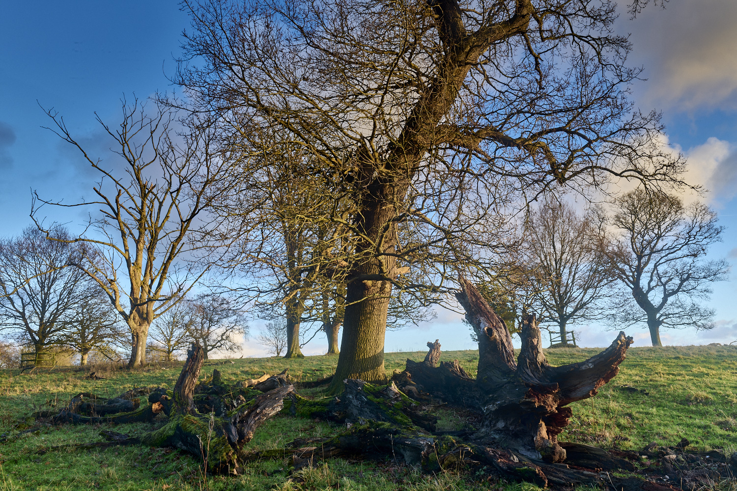 Felbrigg020125-12 1