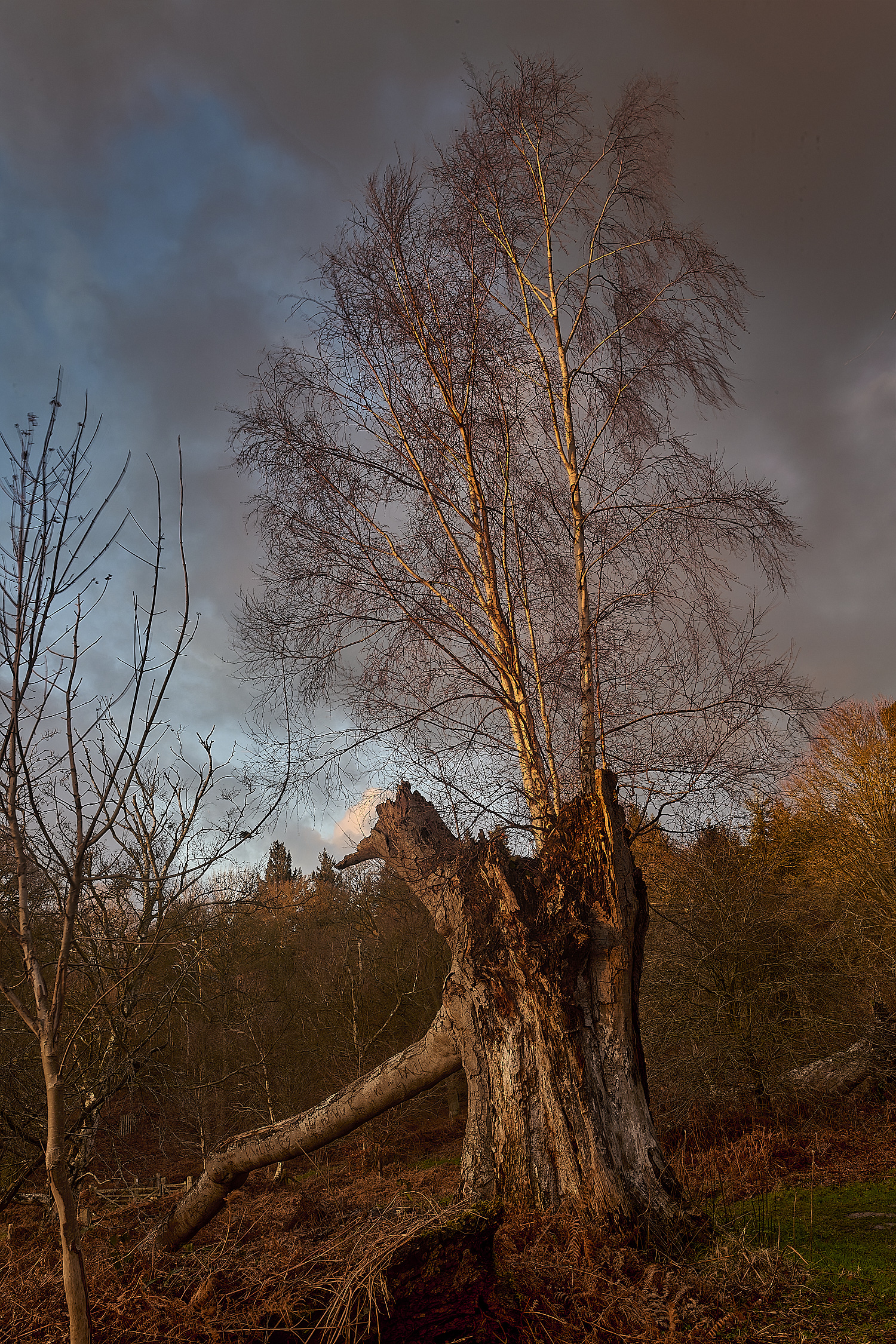Felbrigg020125-15 1