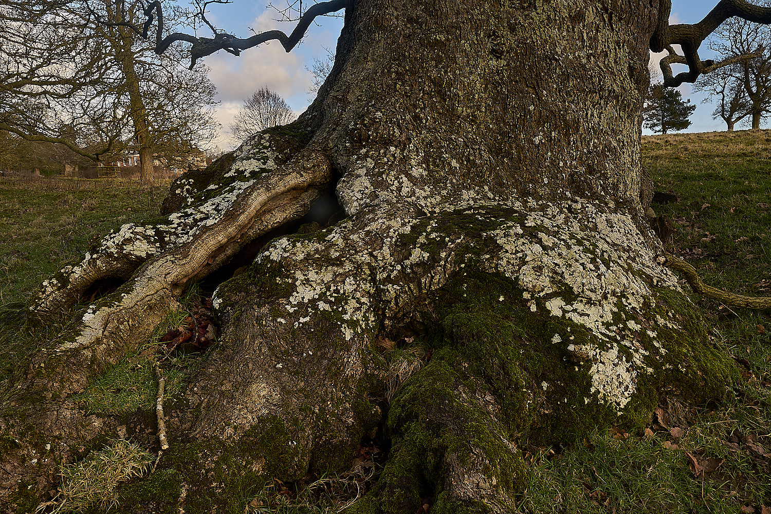 Felbrigg020125-6 1