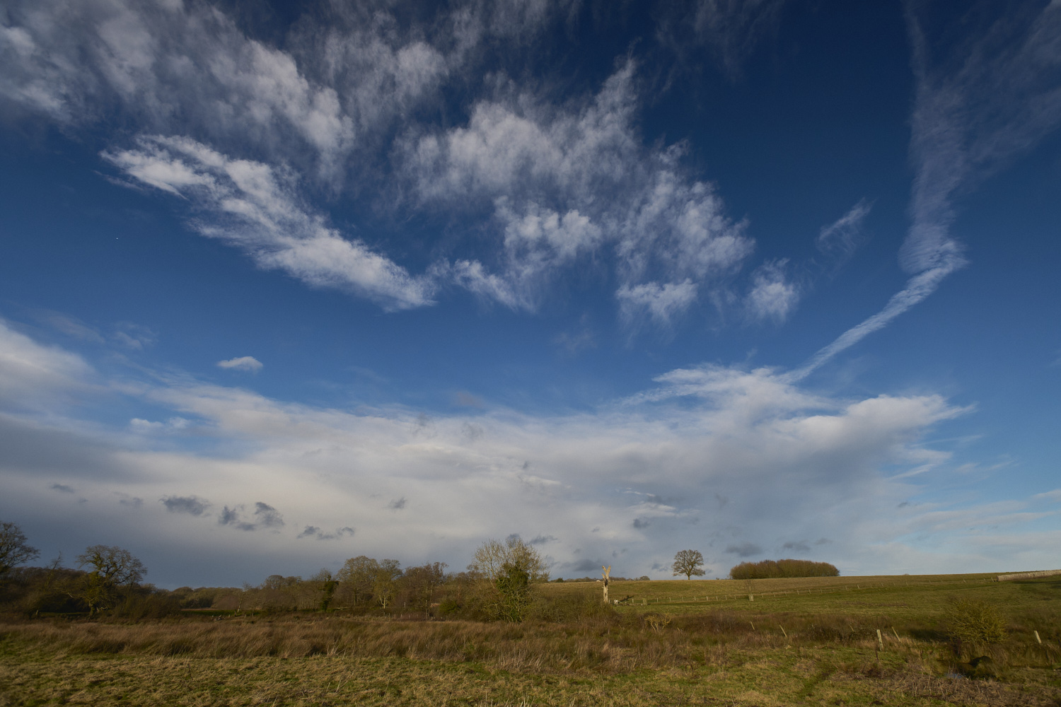 Felbrigg070125-1