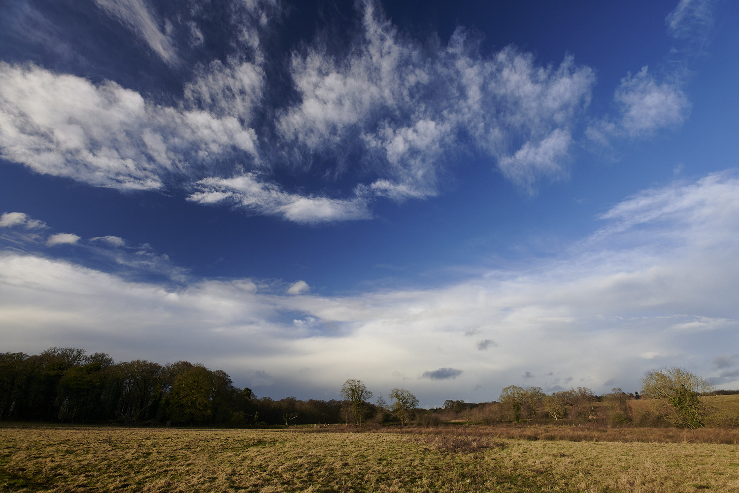 Felbrigg070125-2