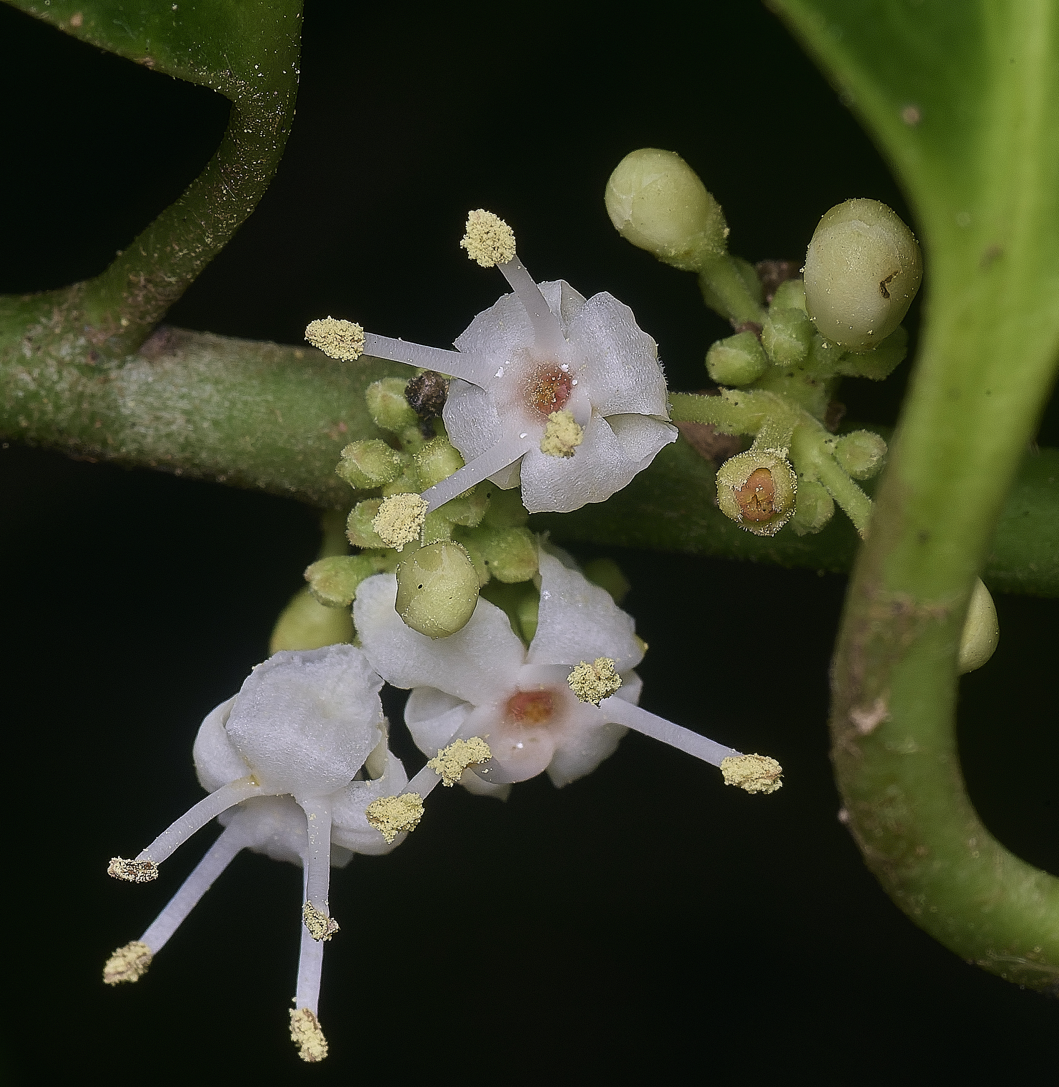 FelbriggHolly091125-1