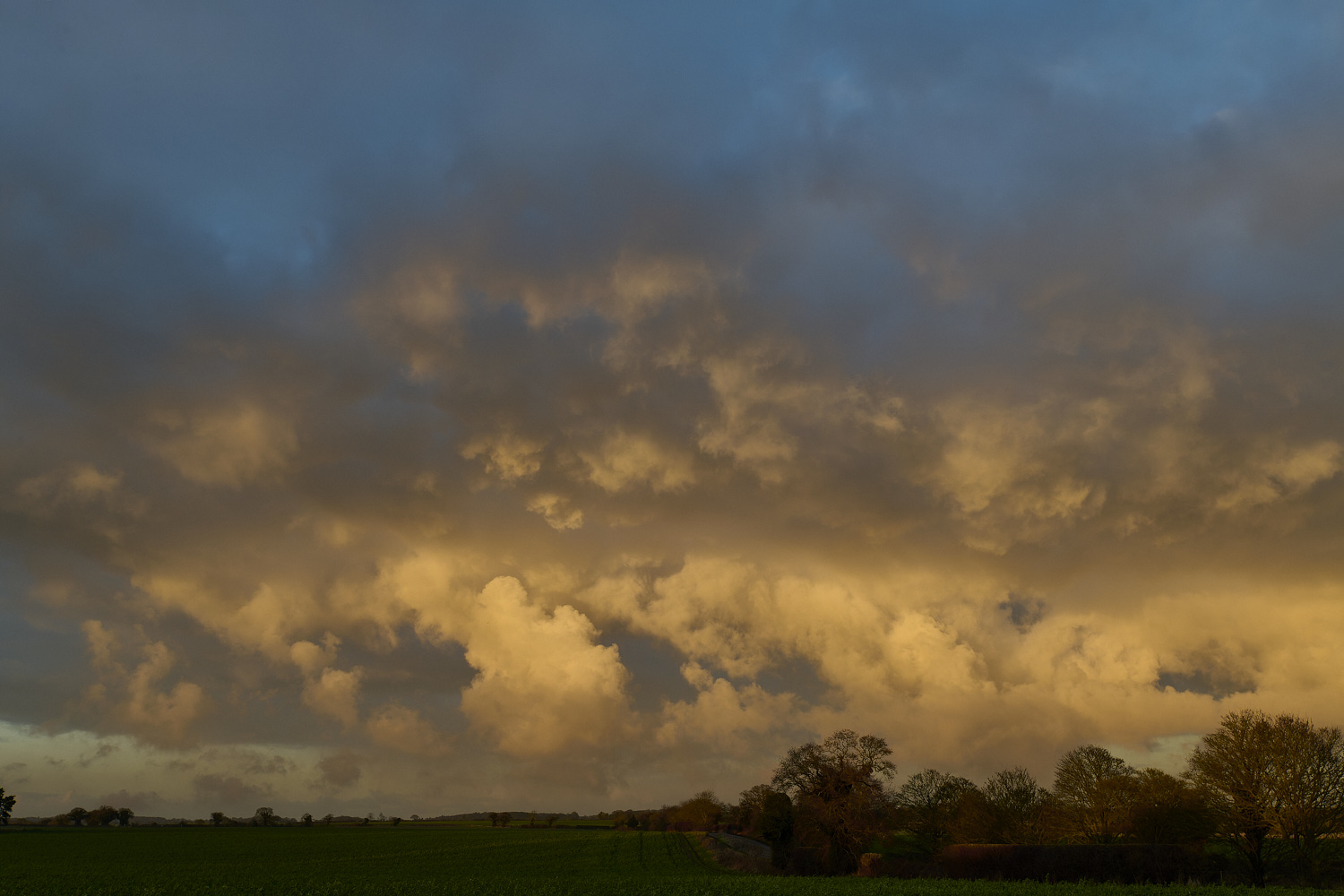 Hanworth110125-1