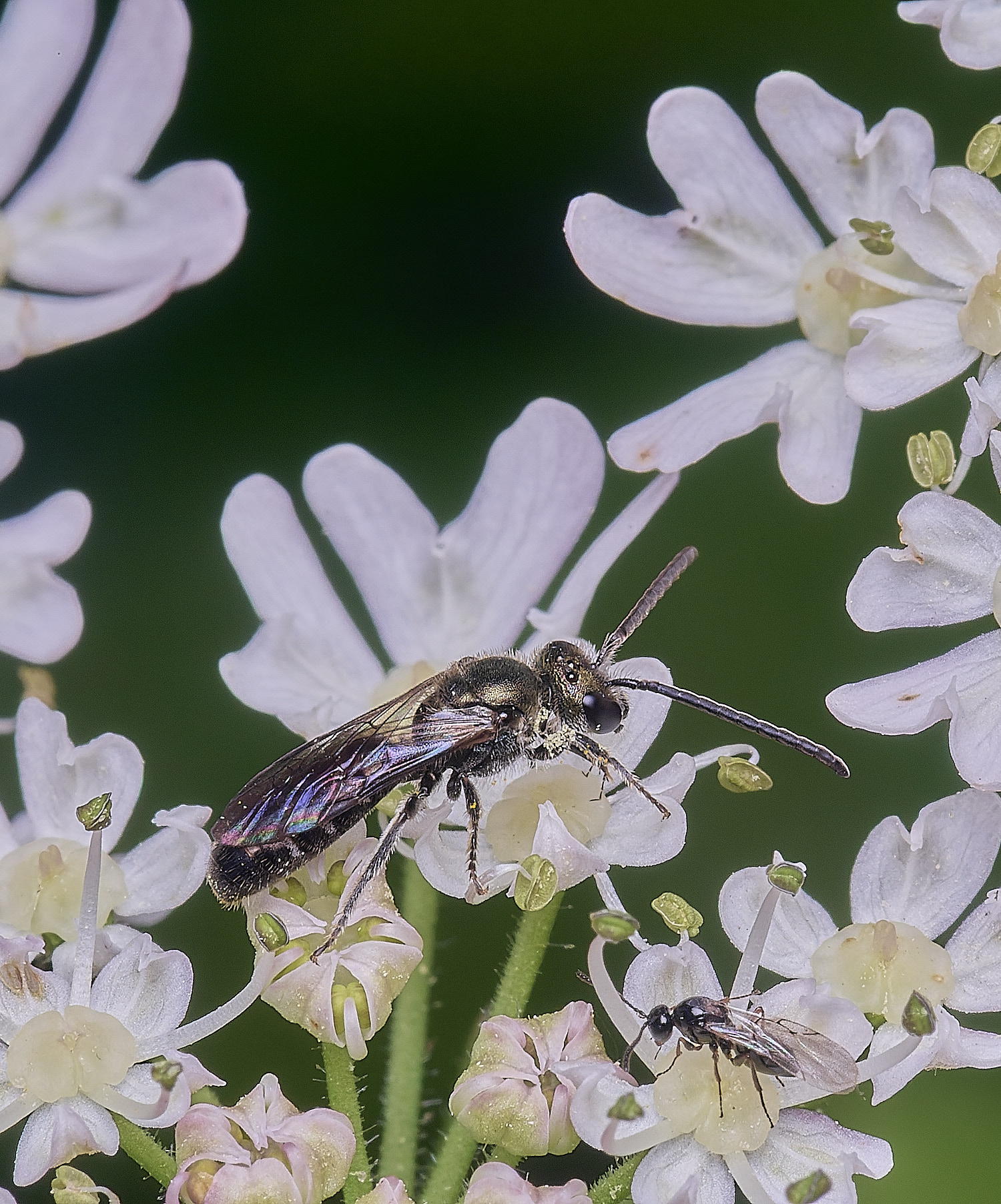 HanworthMorioGroup300725-2