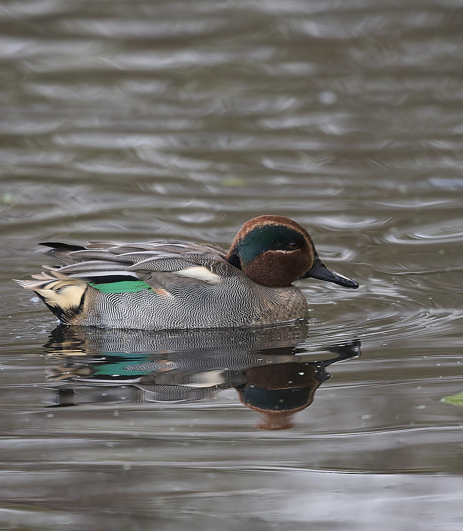 HanworthTeall191125-