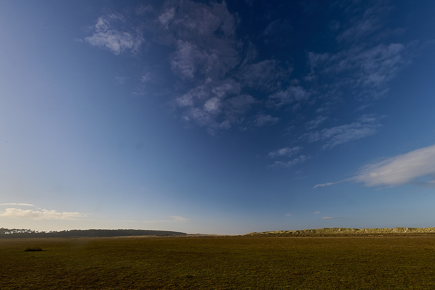 Holkham100125-9