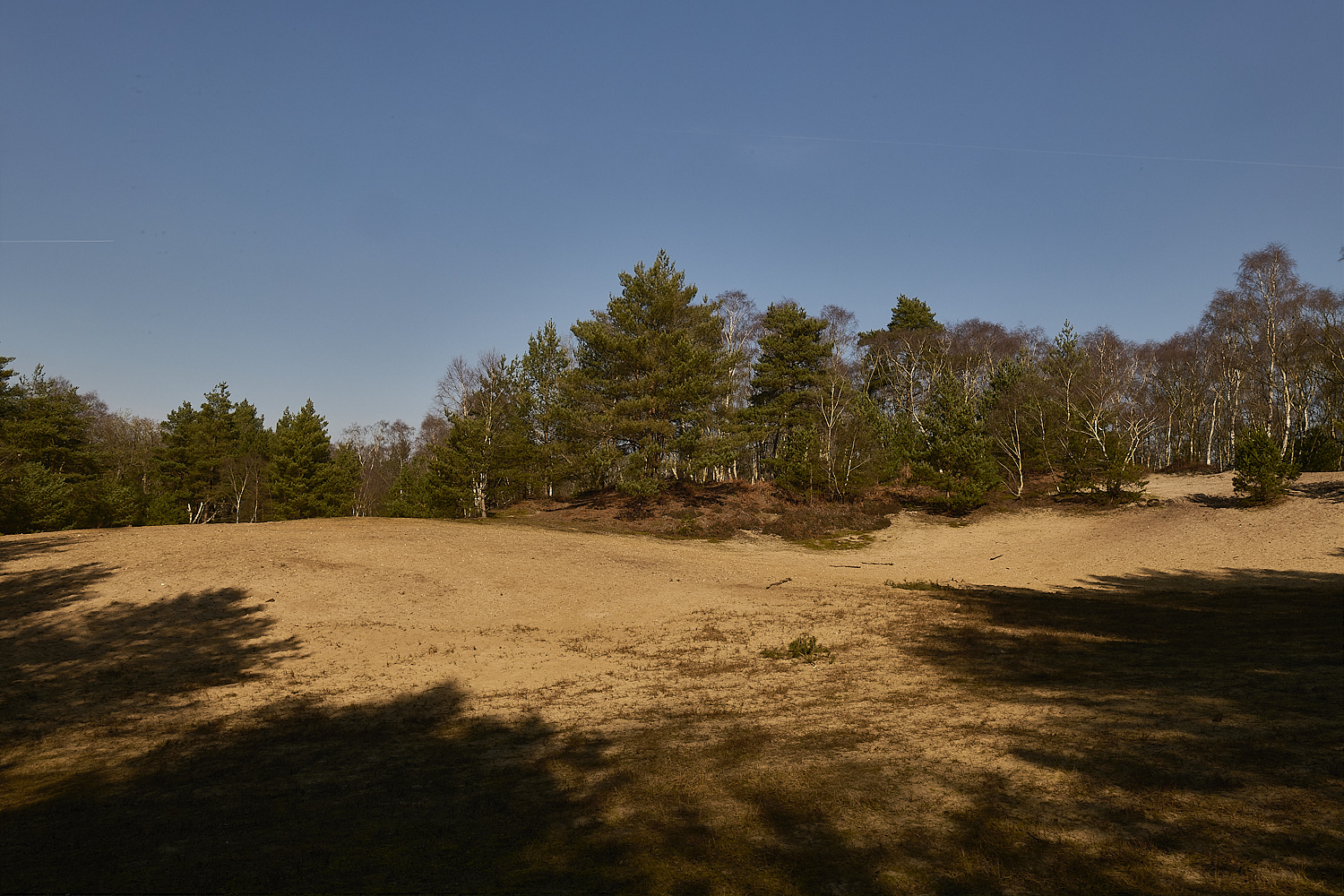 LingCommon020325-2