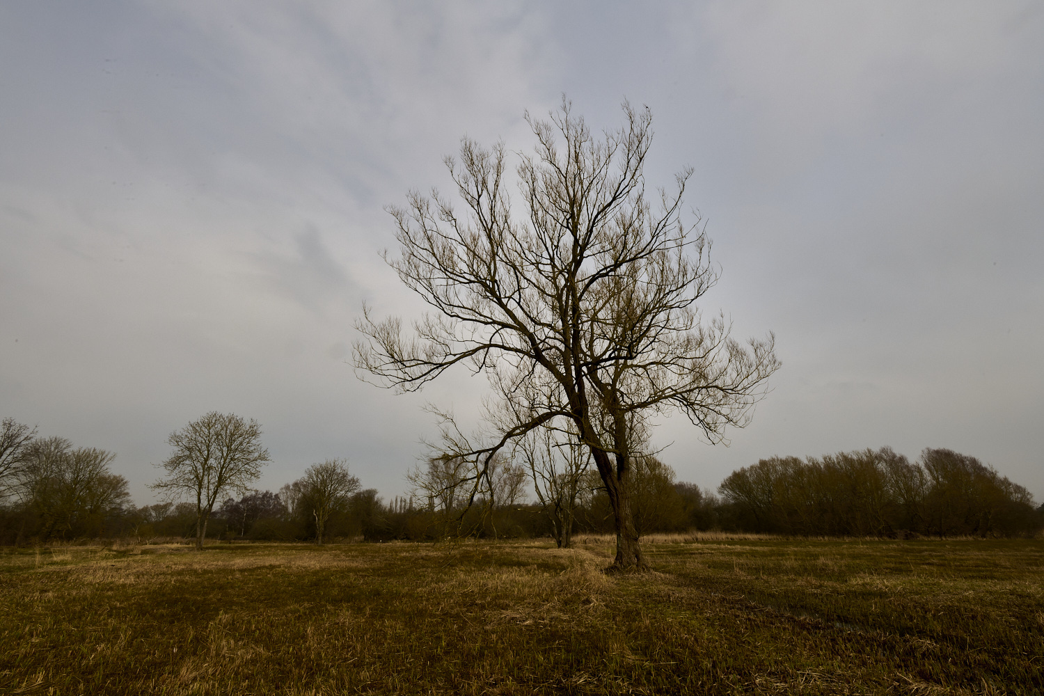 NewFen090225-6