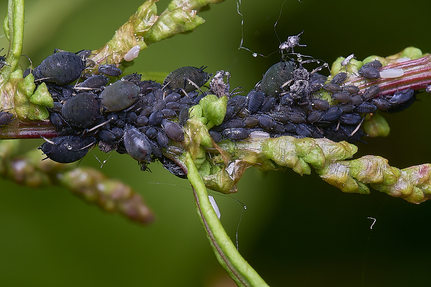 NorwichDock2200525-1