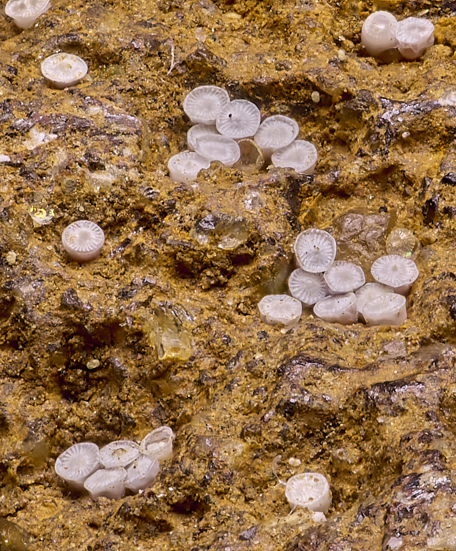 SomethingInteresting080625-1